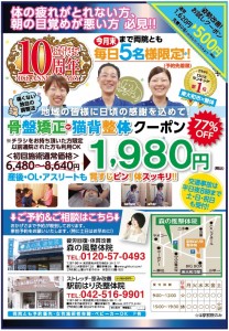 チラシ猫new